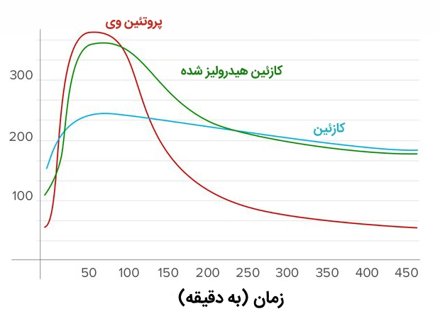 تفاوت سرعت جذب پروتئین وی و کازئین